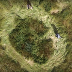 the erased spot